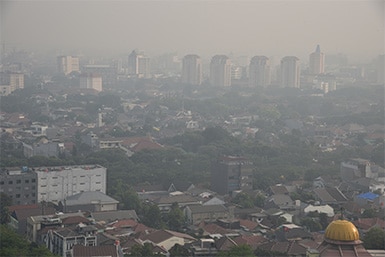 街を歩く場合はマスクが必須！デリーの大気汚染の実態 イメージ