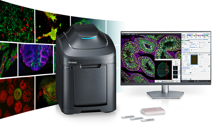 オールインワン蛍光顕微鏡 BZ-X1000シリーズ