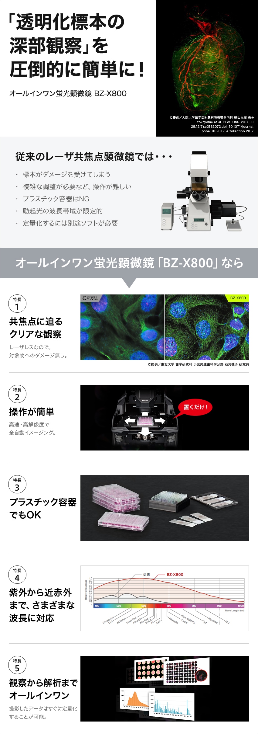 「透明化標本の深部観察」を圧倒的に簡単に！　オールインワン蛍光顕微鏡 BZ-X800