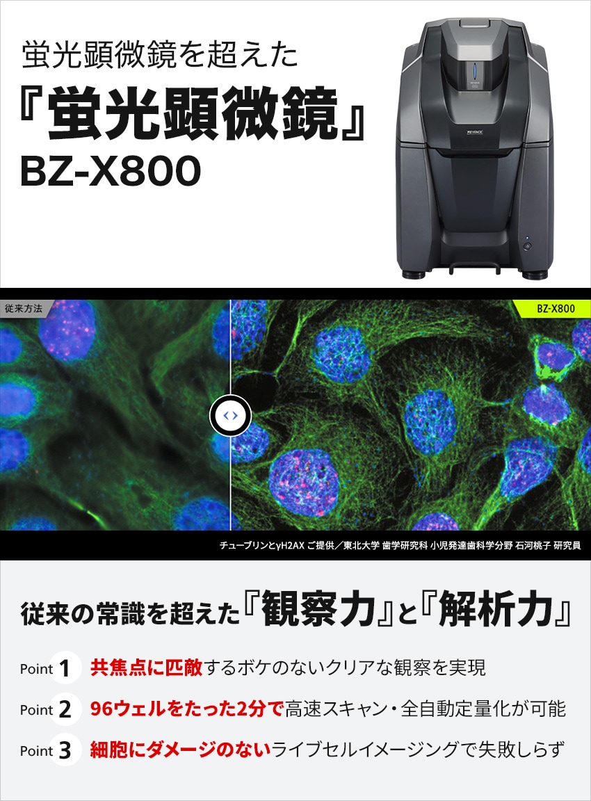 蛍光顕微鏡を超えた『蛍光顕微鏡』BZ-X800