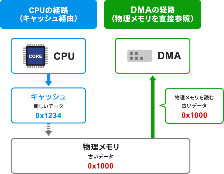 CPU（キャッシュ経由）とDMA（物理メモリ直接参照）の参照経路の違いにより、DMAが古いデータを読み込んでしまう整合性問題の図解