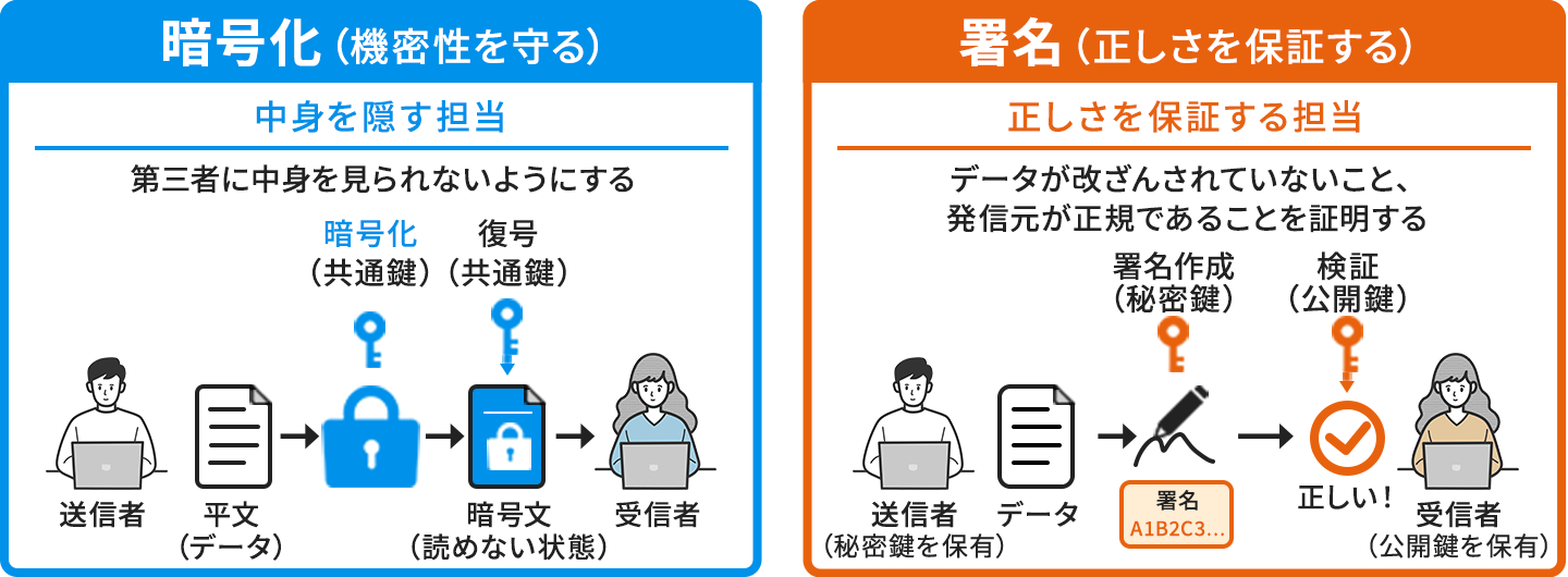 暗号化と署名の役割の違いを並べた図。左の「暗号化（機密性を守る）」は中身を隠す担当で、第三者に中身を見られないようにする。送信者の平文（データ）を共通鍵で暗号化して暗号文（読めない状態）にし、受信者が共通鍵で復号する流れを示す。右の「署名（正しさを保証する）」は正しさを保証する担当で、データが改ざんされていないことと発信元が正規であることを証明する。秘密鍵を保有する送信者がデータに署名を作成し、公開鍵を保有する受信者が検証して「正しい」と確認する流れを示す。