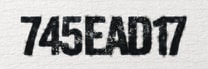 文字同士がくっついた「745EAD17」もそのまま読み取れる