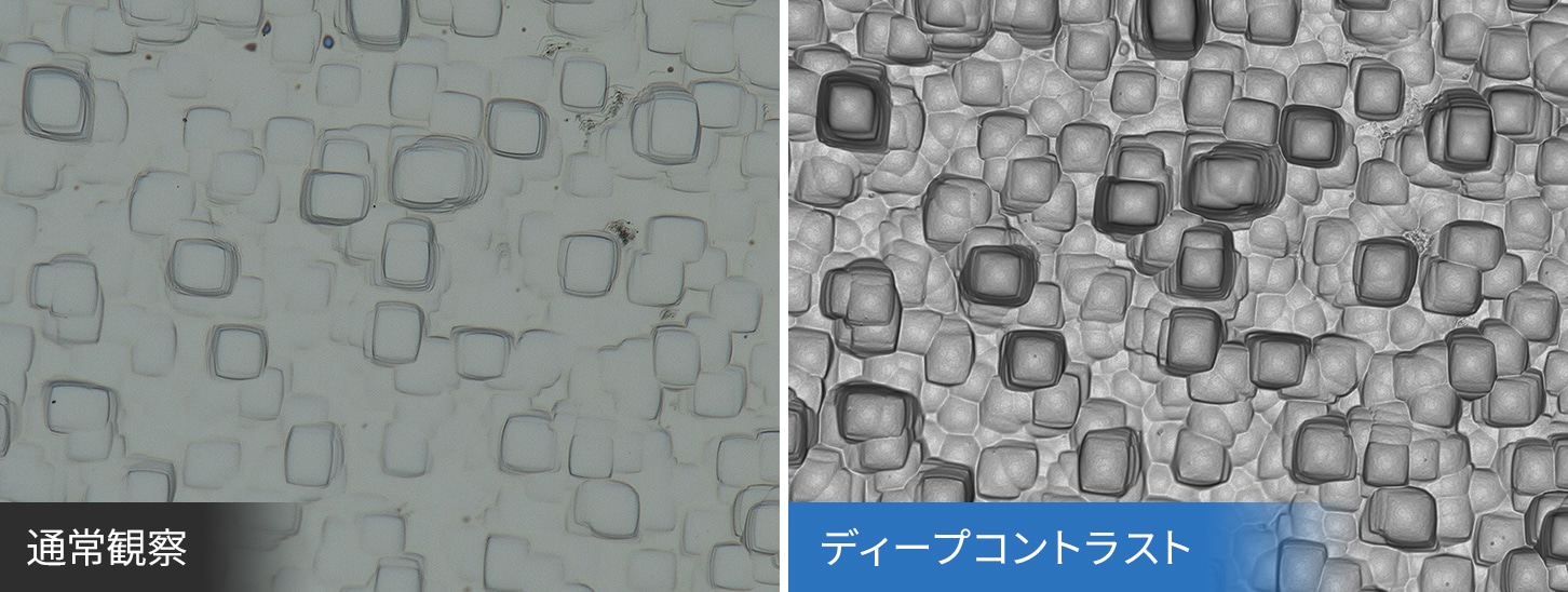 従来とディープコントラストの観察画像比較