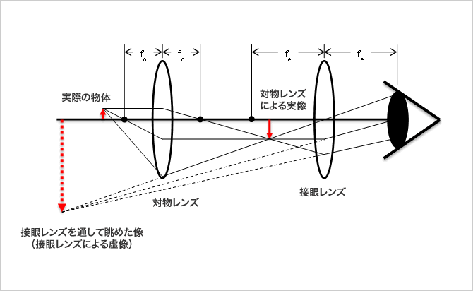 顕微鏡の原理