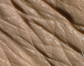 肌のキメ（皮膚のレプリカ）のマルチライティング画像