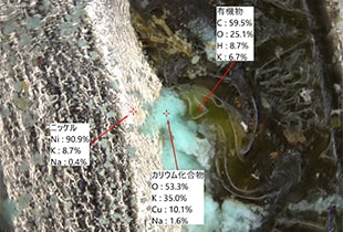 LIBS（レーザ誘起ブレークダウン分光法）によるデジタルマイクロスコープでの元素分析