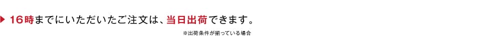 16時までにいただいたご注文は、当日出荷できます。 ※出荷条件が揃っている場合