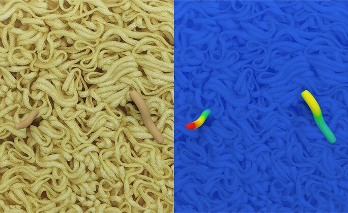 即席麺の異物検査画像 食品外観検査